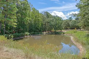 636 Spruce Rd, Big Sandy, TX 75755 - Photo 6