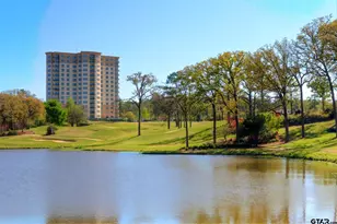 2801 Wexford Dr, Tyler, TX 75709 - Photo 2