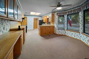 15236 Hillview Rd, Tyler, TX 75703 - Photo 14