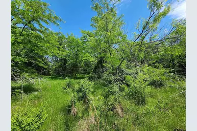 0000 W I 30, Sulphur Springs, TX 75482 - Photo 4
