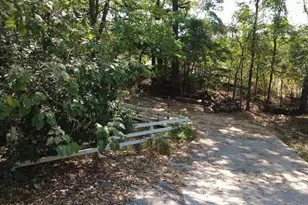 327 Pr 52436, Pittsburg, TX 75686 - Photo 8