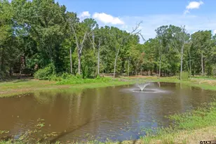4315 Vz County Raod 1117, Edgewood, TX 75117 - Photo 24