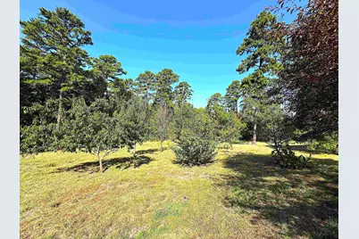 645 Cr 3999, Winnsboro, TX 75494 - Photo 20