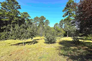 645 Co Rd 3999, Winnsboro, TX 75494 - Photo 20