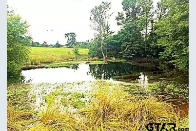 Lot 3 Cr 3204, Quitman, TX 75783 - Photo 4