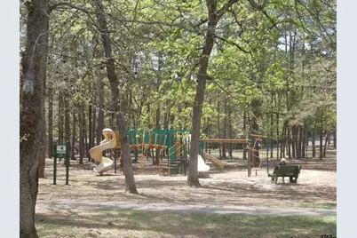 250 Autumn Wood Trail, Holly Lake Ranch, TX 75765 - Photo 30