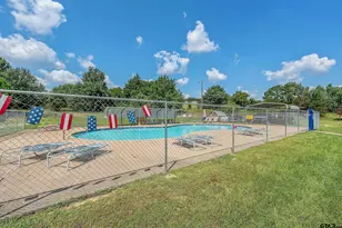 110 Sycamore (Hickory Hills & Sycamore), Murchison, TX 75778 - Photo 46