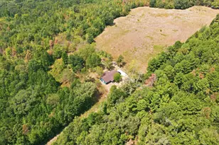 1271 Co Rd 1344, Pittsburg, TX 75686 - Photo 30