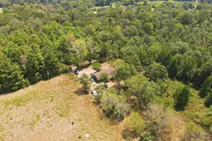 1271 Co Rd 1344, Pittsburg, TX 75686 - Photo 34