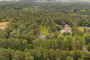 20994 State Hwy 110 N, Troup, TX 75789 - Photo 2
