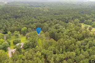 20994 State Hwy 110 N, Troup, TX 75789 - Photo 6