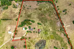 442 An County Road 1201, Elkhart, TX 75839 - Photo 36