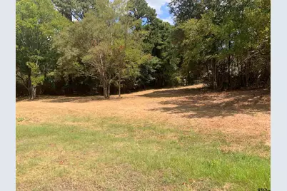 Lot 4 Cade Drive, Chandler, TX 75758 - Photo 4