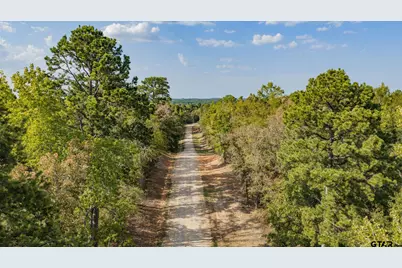 2283 Flamingo Rd, Gilmer, TX 75645 - Photo 44