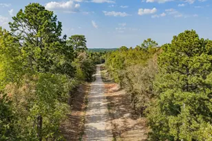 2283 Flamingo Rd, Gilmer, TX 75645 - Photo 44