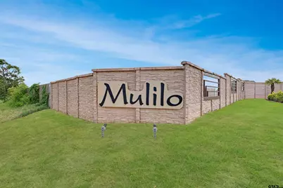 318 Zebra Way, Bullard, TX 75757 - Photo 40