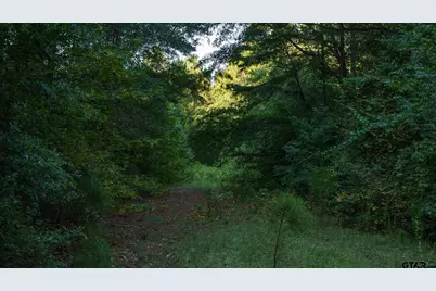 5755 Cr 102, Overton, TX 75684 - Photo 6