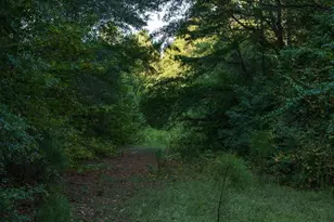 5755 Cr 102, Overton, TX 75684 - Photo 6