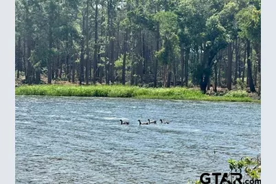 Lot 42 Oak River, Frankston, TX 75763 - Photo 6