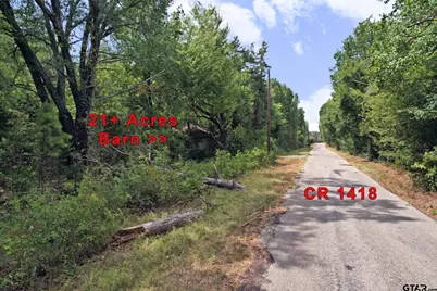 Tbd Fm 69, Quitman, TX 75783 - Photo 4