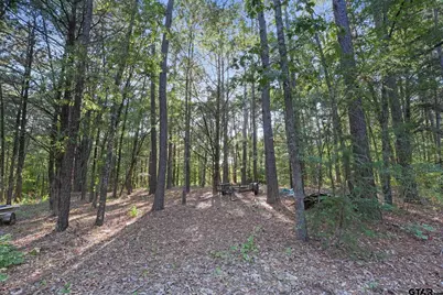 14602 Cr 188, Bullard, TX 75757 - Photo 2