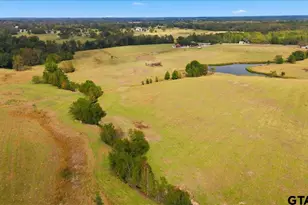 10736 E Hwy 154, Sulphur Springs, TX 75482 - Photo 40