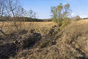 10736 E Hwy 154, Sulphur Springs, TX 75482 - Photo 36