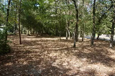 Tbd Lot 146 (Evening Shadows Trail), Holly Lake Ranch, TX 75765 - Photo 8
