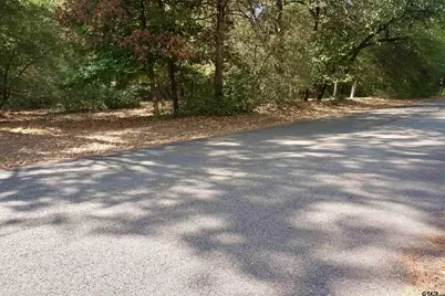 Tbd Lot 146 (Evening Shadows Trail), Holly Lake Ranch, TX 75765 - Photo 6