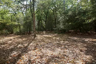 Tbd Lot 146 (Evening Shadows Trail), Holly Lake Ranch, TX 75765 - Photo 10