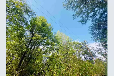 0000 Apple Tree Rd, Gilmer, TX 75644 - Photo 20