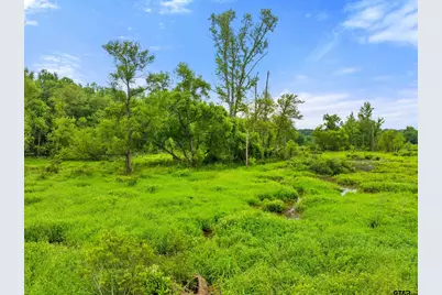 Tbd C R 426 Tbd Cr 426, Lindale, TX 75771 - Photo 4