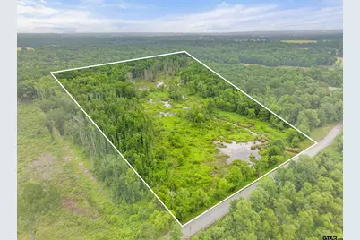 Tbd C R 426 Tbd Cr 426, Lindale, TX 75771 - Photo 1