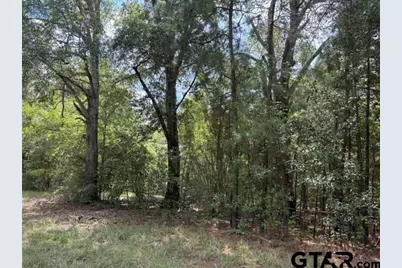 19317 N. State Highway 110, Troup, TX 75789 - Photo 24