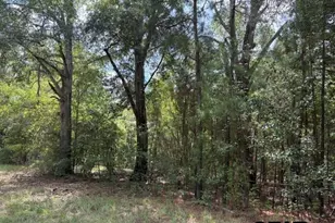 19317 N State Hwy 110, Troup, TX 75789 - Photo 24