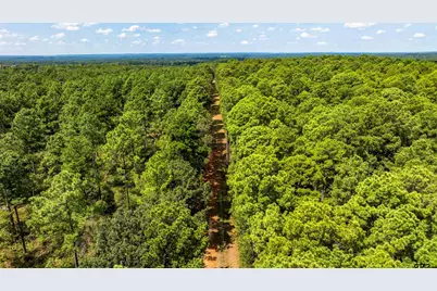 19317 N. State Highway 110, Troup, TX 75789 - Photo 44