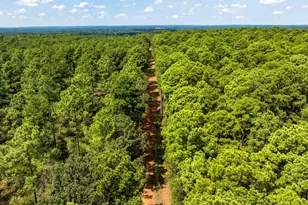 19317 N State Hwy 110, Troup, TX 75789 - Photo 44