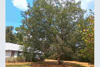 3984 S State Hwy 37, Mineola, TX 75773 - Photo 38