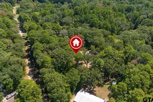 166 Cedar Ct, Bullard, TX 75757 - Photo 30