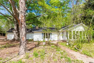 2942 Medlin Rd, Gilmer, TX 75645 - Photo 2