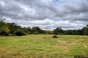 4233 An County Rd 163, Palestine, TX 75801 - Photo 14