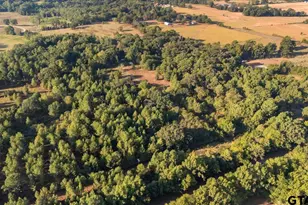 5070 Fm 2088 Farm To Market 2088, Winnsboro, TX 75494 - Photo 46
