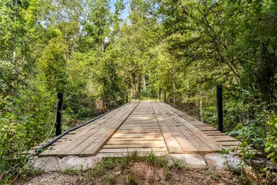 16590 E State Highway 21, Grapeland, TX 75844 - Photo 4