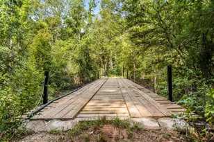 16590 E State Hwy 21, Grapeland, TX 75844 - Photo 4
