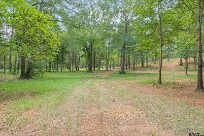 Tbd Willingham Rd, Whitehouse, TX 75791 - Photo 18