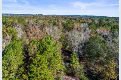 Tbd Cr 396, Tyler, TX 75708 - Photo 8