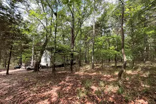 6435 Fm 17 Lots 70-77, Yantis, TX 75497 - Photo 22