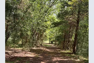 Tbd Fm 768 N, Jacksonville, TX 75766 - Photo 6