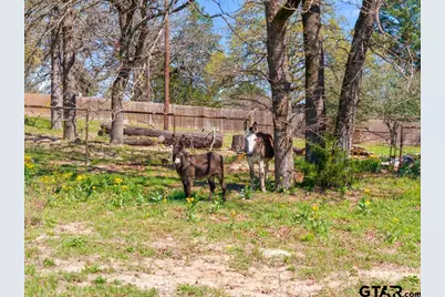 23326 Cr 448, Lindale, TX 75771 - Photo 46