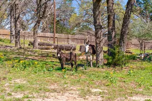 23326 Cr 448, Lindale, TX 75771 - Photo 46
